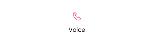 Voice